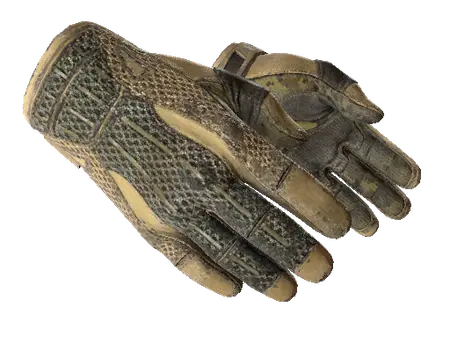★ Sport Gloves