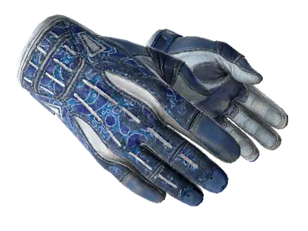 ★ Sport Gloves