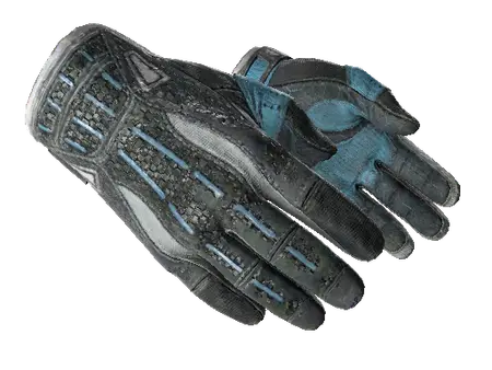★ Sport Gloves