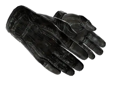 ★ Sport Gloves