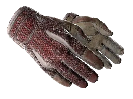 ★ Sport Gloves