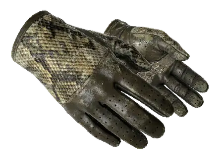 ★ Driver Gloves