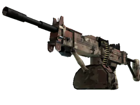 Negev