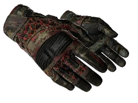 ★ Moto Gloves