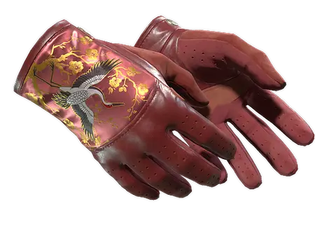 ★ Driver Gloves