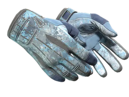 ★ Sport Gloves