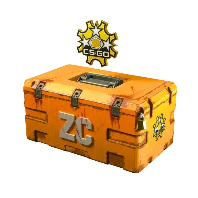 Revolver Case
