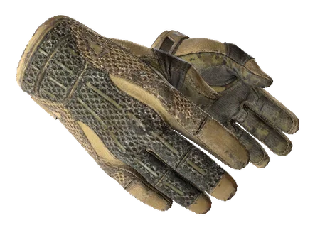 ★ Sport Gloves